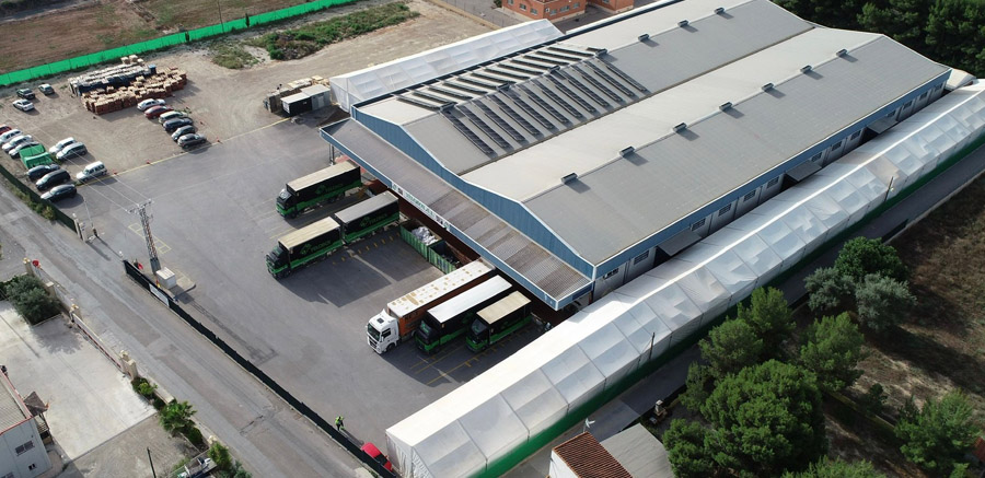 Sede Yelotrans